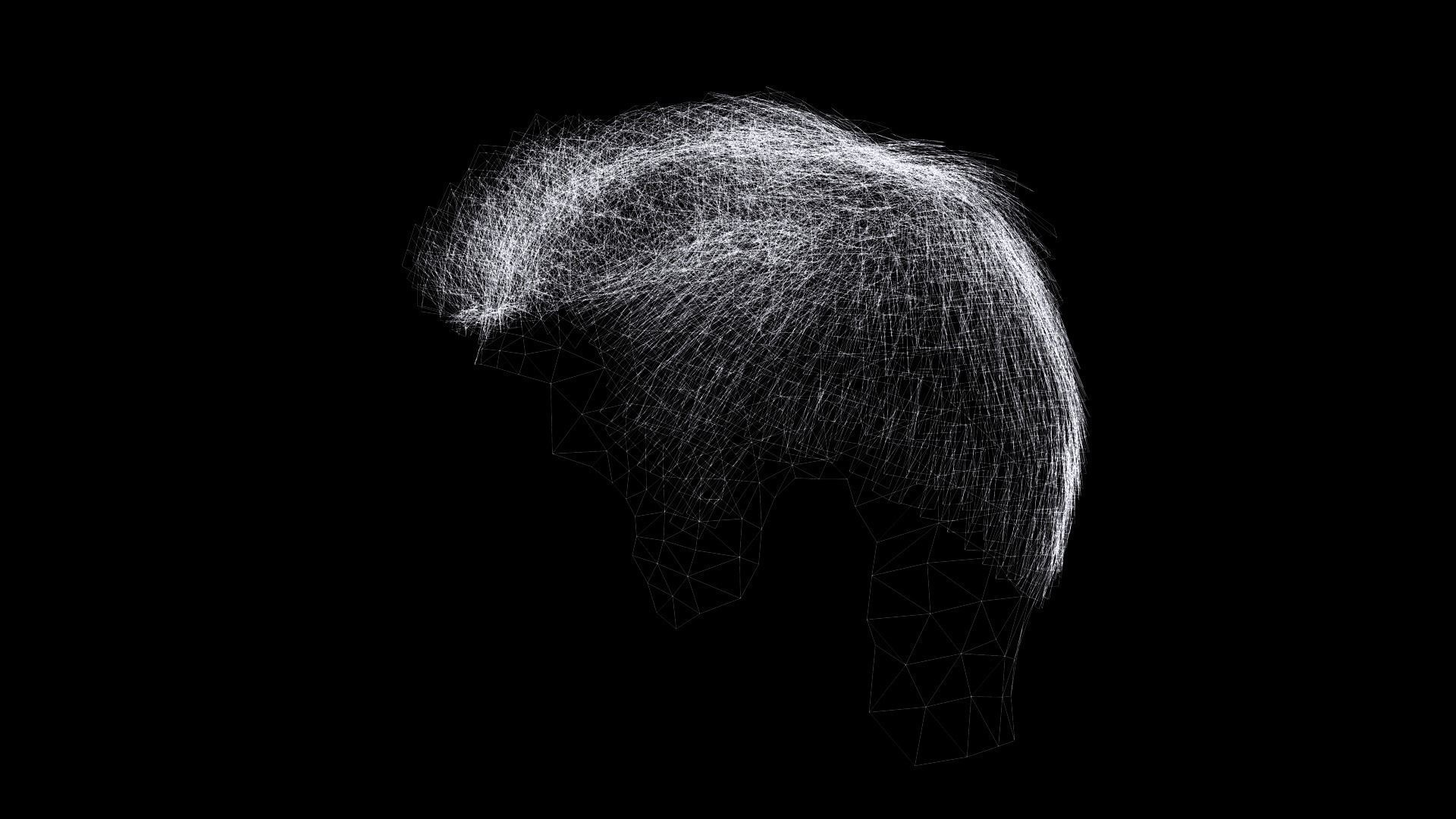 Realistic Hair hawk Low-poly 3D model_12