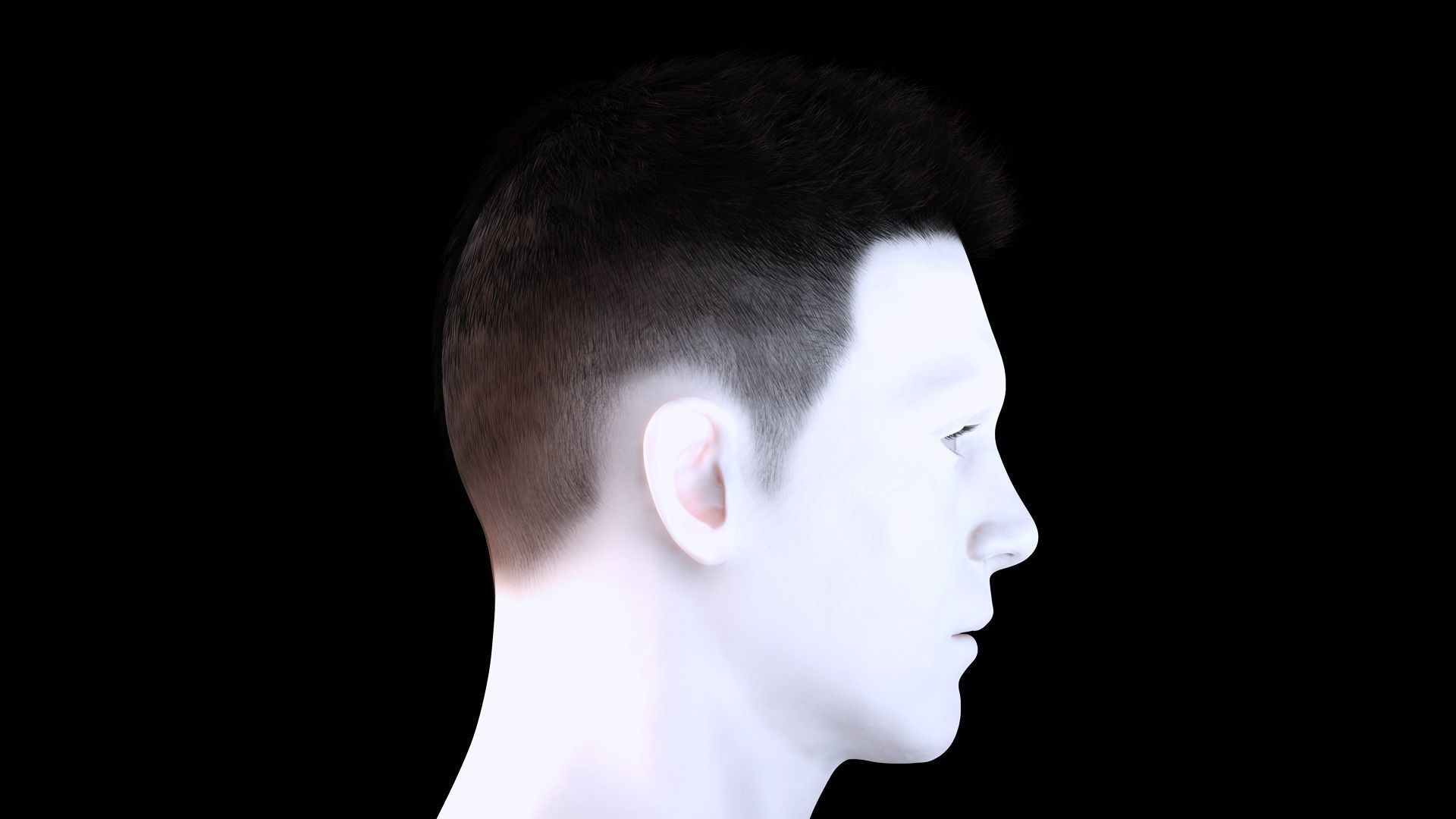 Realistic Hair hawk Low-poly 3D model_4