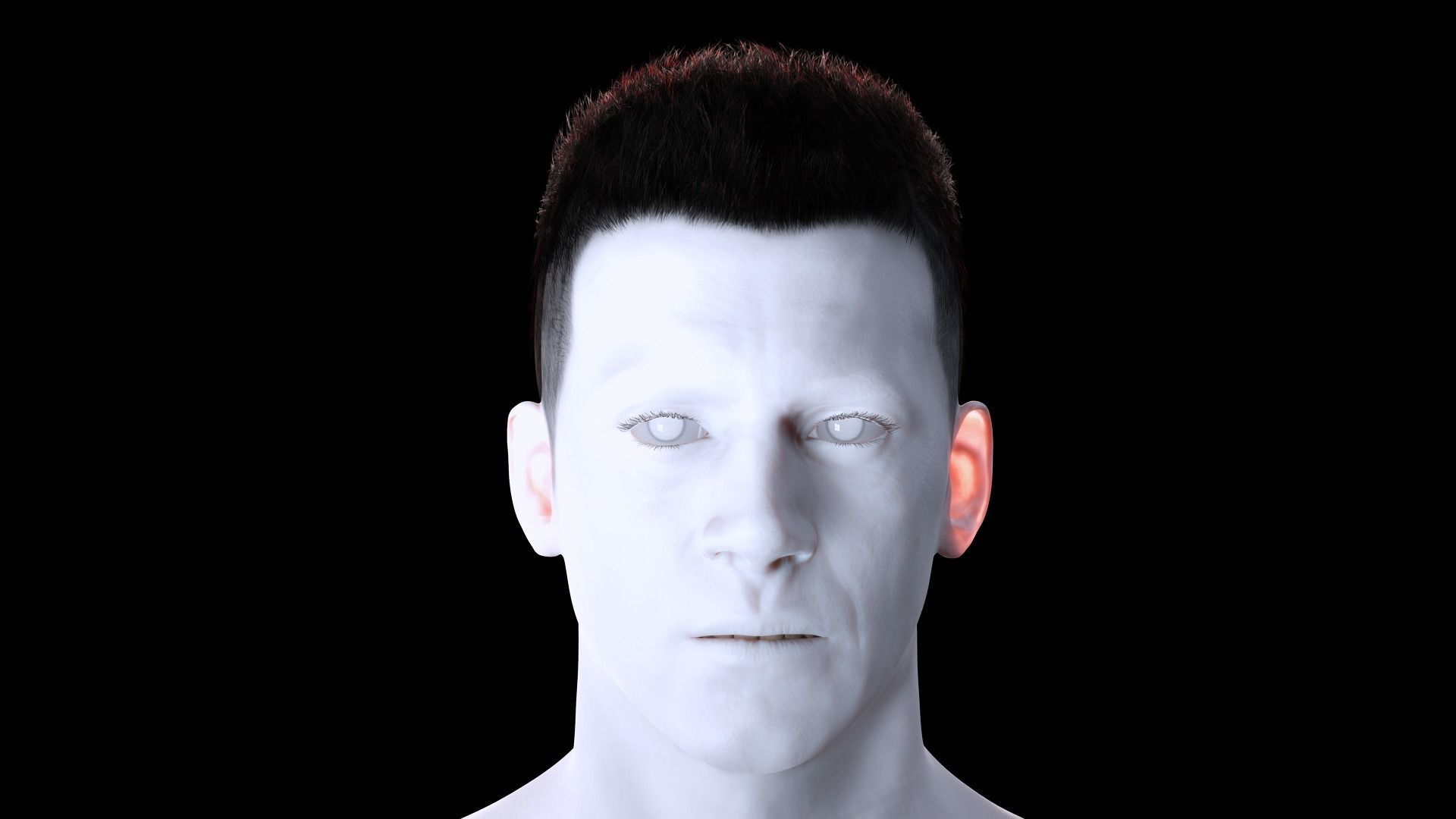 Realistic Hair hawk Low-poly 3D model_2