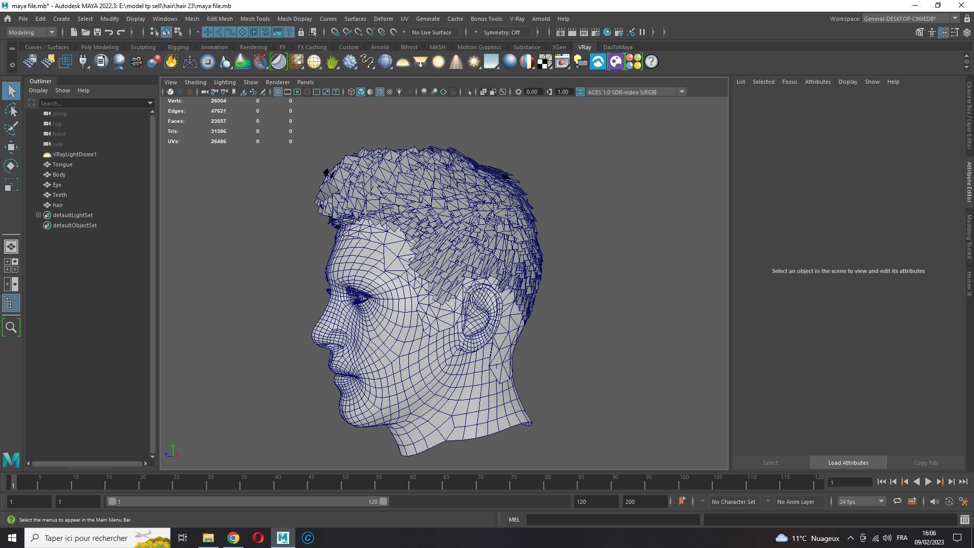 Realistic Hair hawk Low-poly 3D model_16