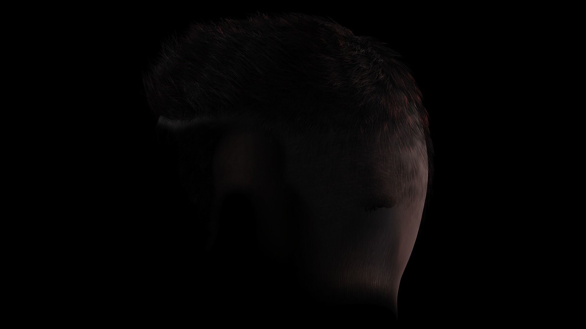 Realistic Hair hawk Low-poly 3D model_8