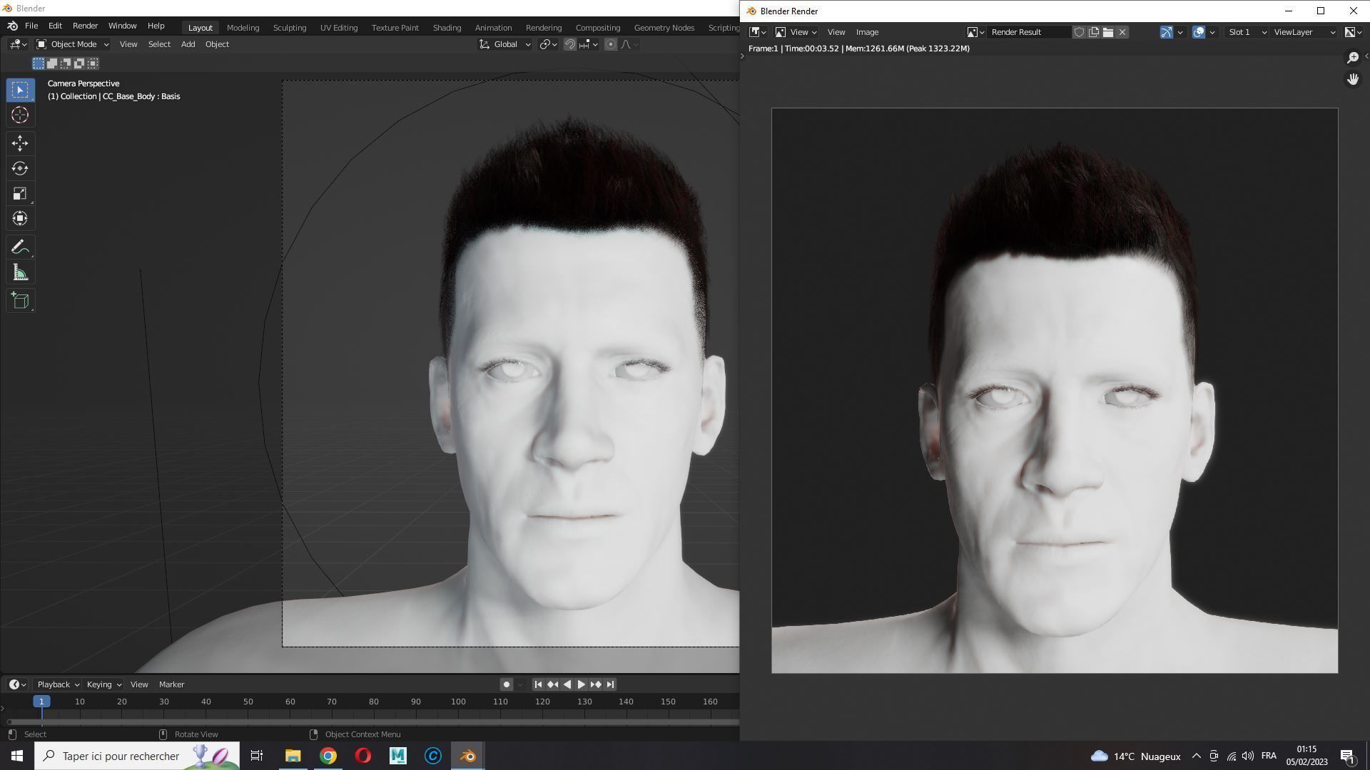 Realistic Hair hawk Low-poly 3D model_14