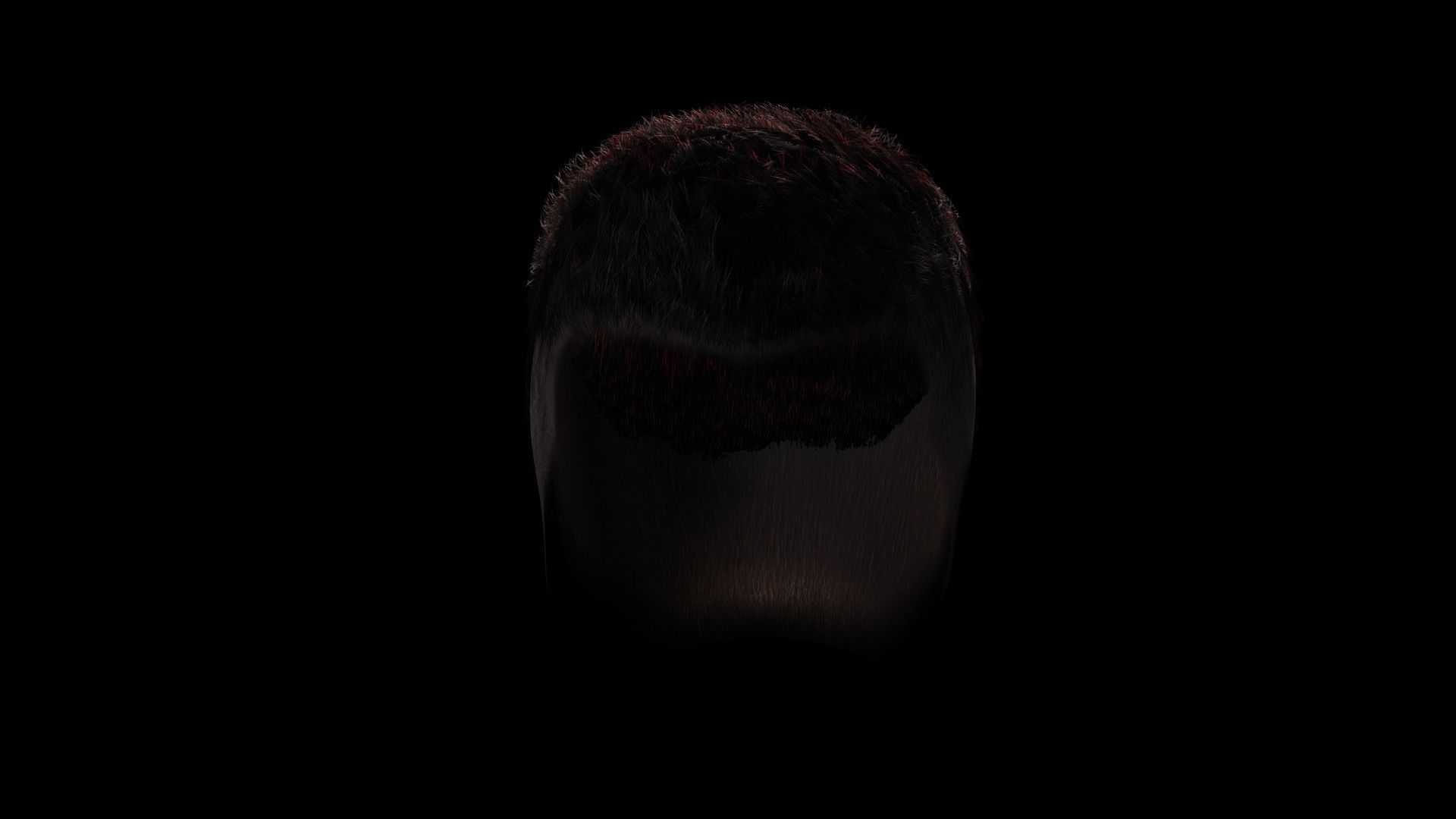 Realistic Hair hawk Low-poly 3D model_7