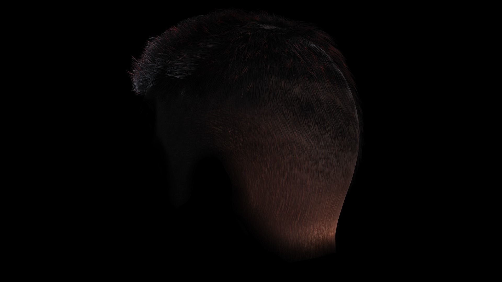 Realistic Hair hawk Low-poly 3D model_10