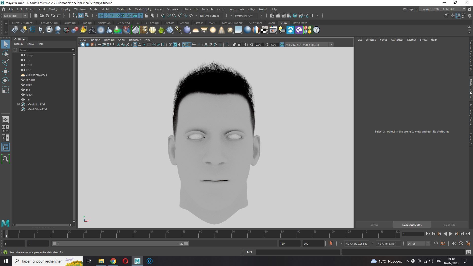 Realistic Hair hawk Low-poly 3D model_19