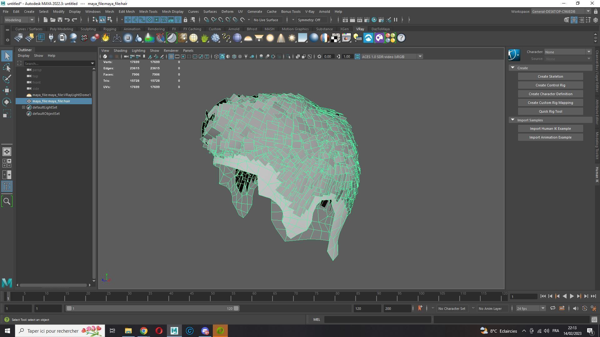 Realistic Hair hawk Low-poly 3D model_21