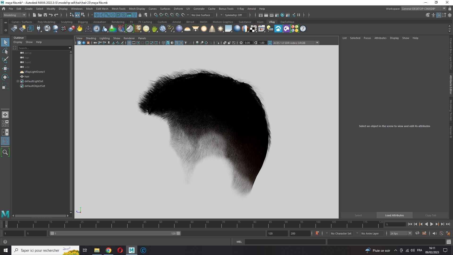 Realistic Hair hawk Low-poly 3D model_20