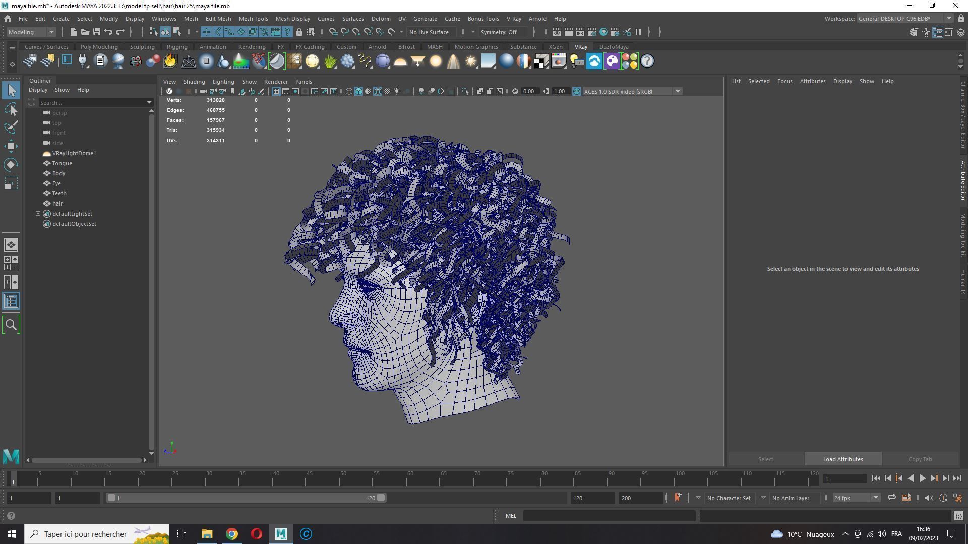 Realistic Hair man afro Low-poly 3D model_15