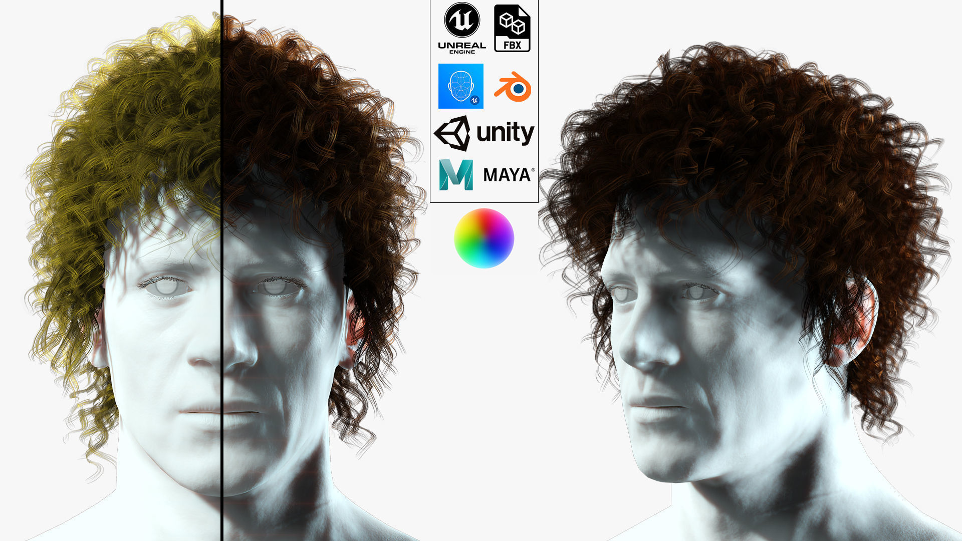 Realistic Hair man afro Low-poly 3D model_1