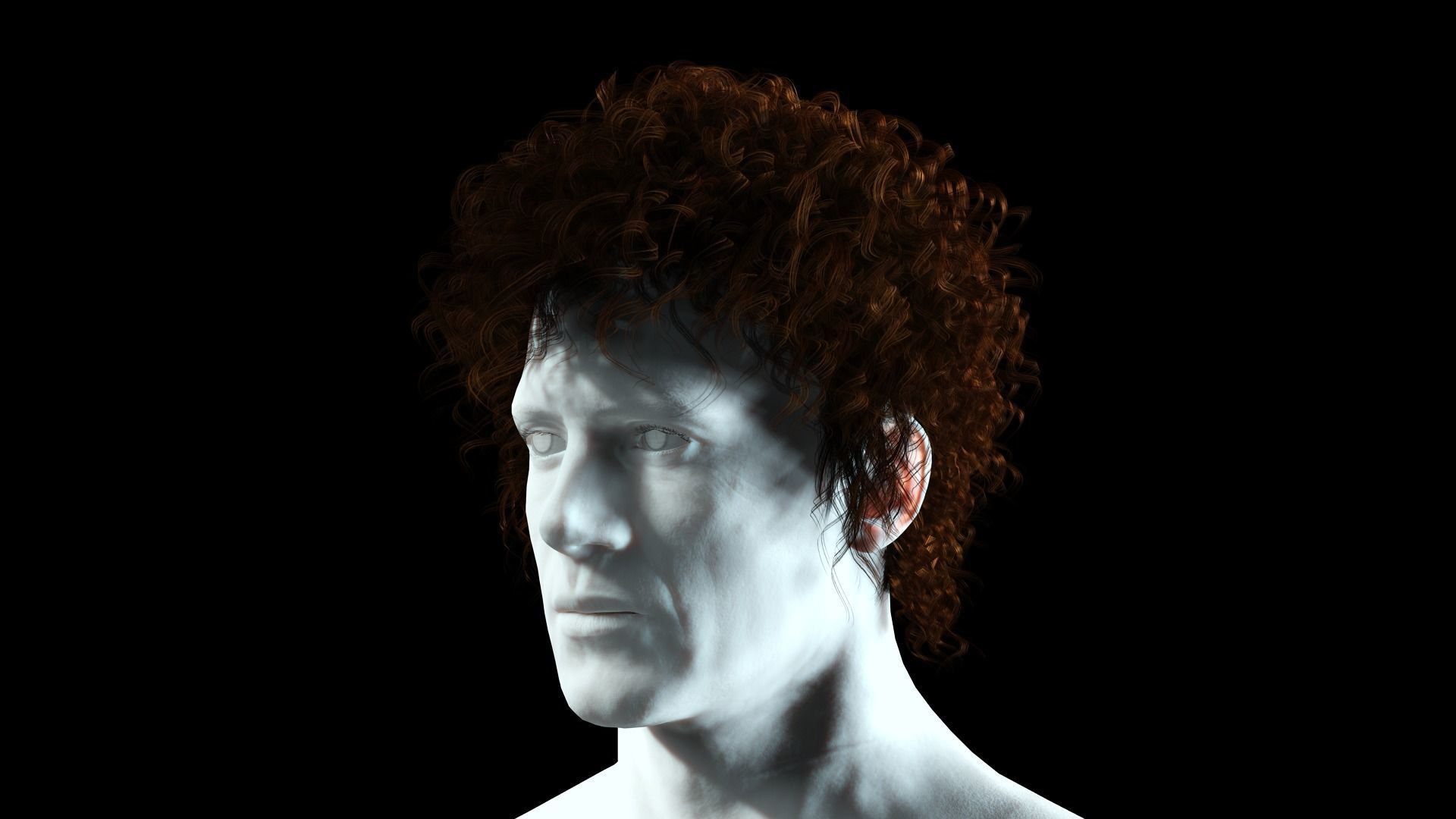 Realistic Hair man afro Low-poly 3D model_3
