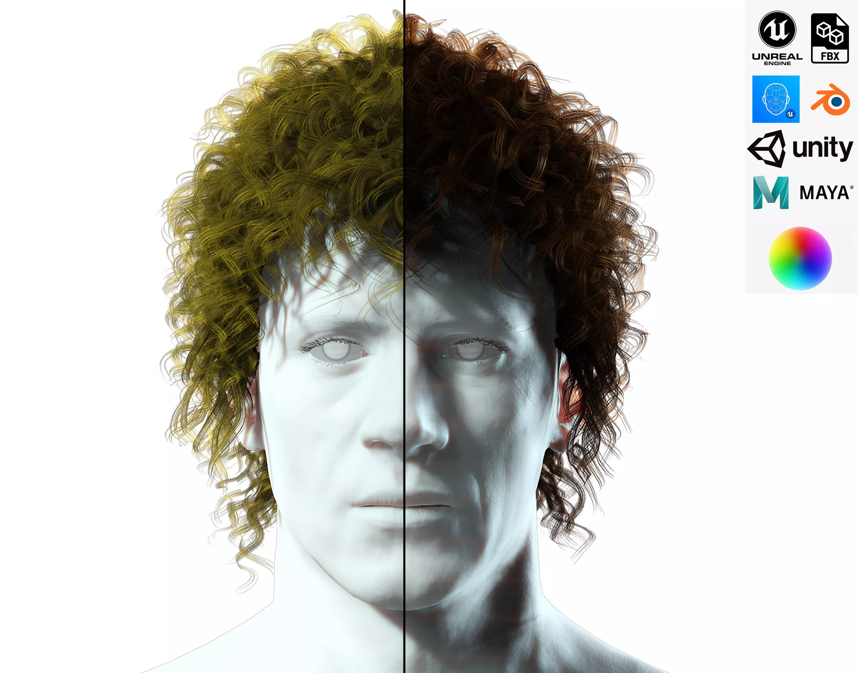 Realistic Hair man afro Low-poly 3D model_0