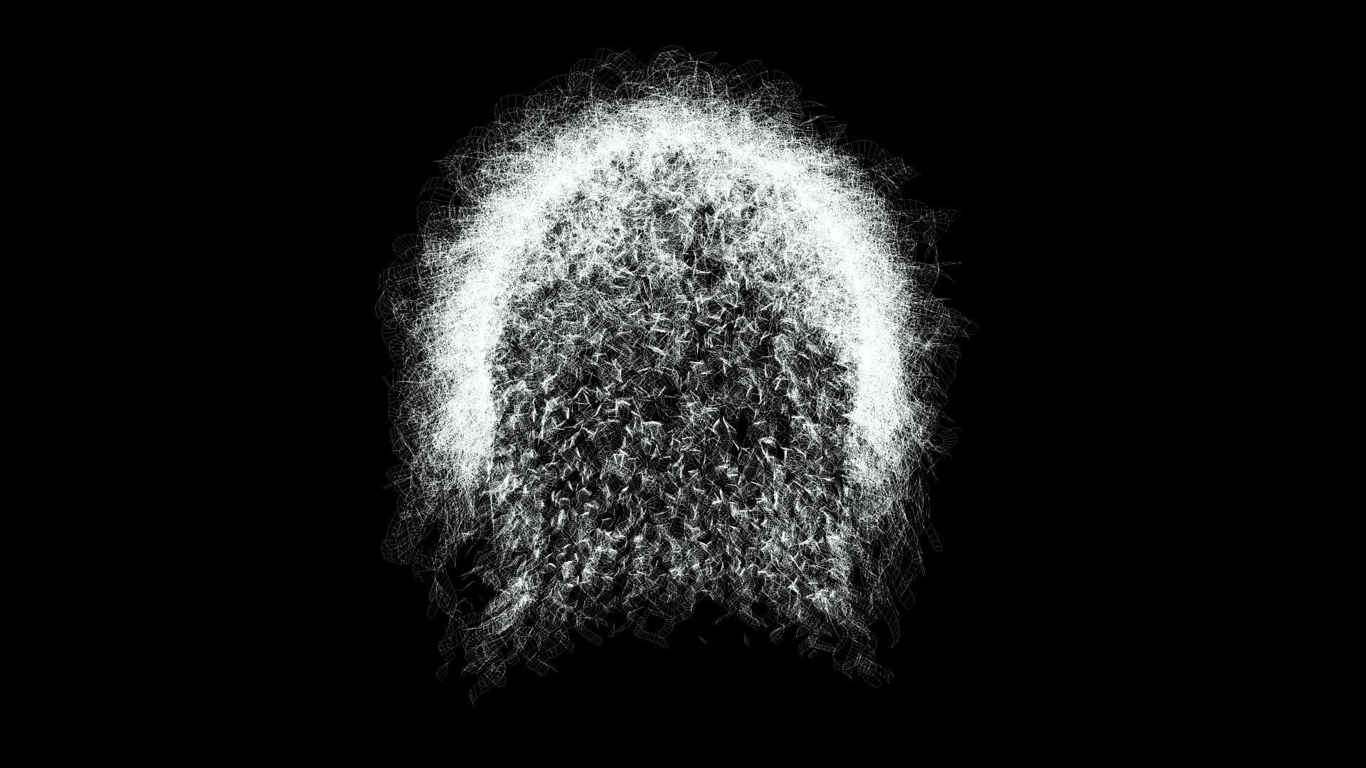 Realistic Hair man afro Low-poly 3D model_12