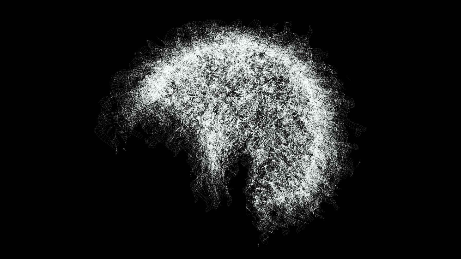 Realistic Hair man afro Low-poly 3D model_11