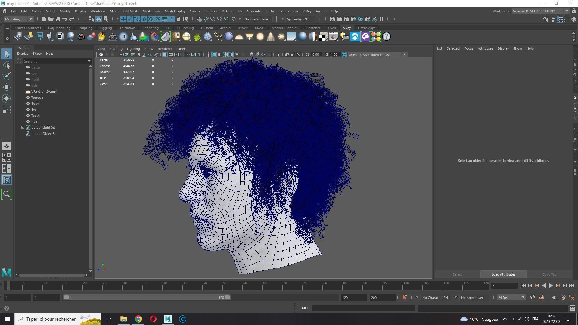 Realistic Hair man afro Low-poly 3D model_16