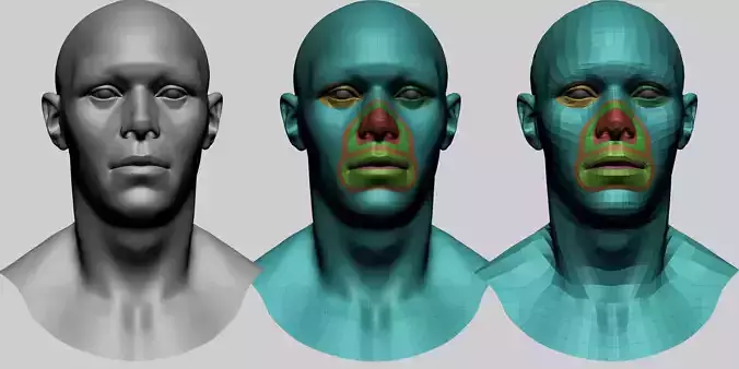 Base Male Head H 3D model