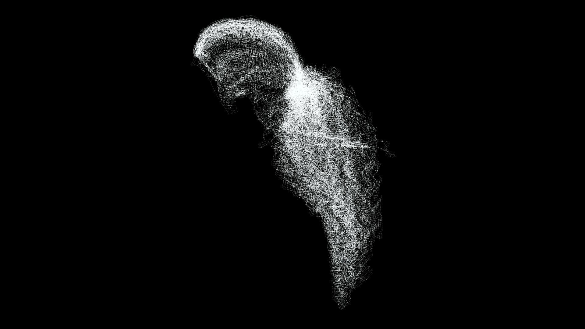 realistic long hair  Low-poly 3D model_11