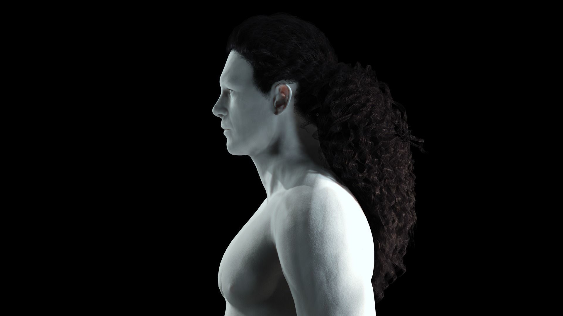 realistic long hair  Low-poly 3D model_4