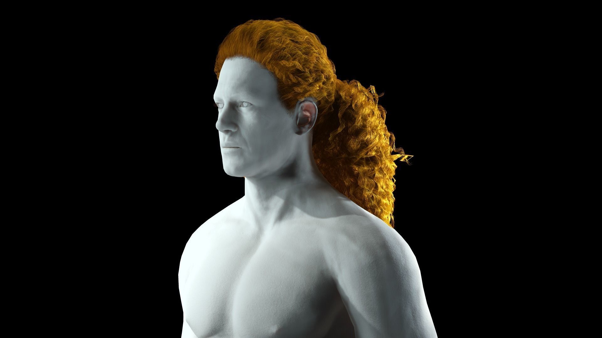 realistic long hair  Low-poly 3D model_3