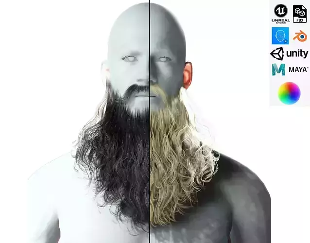 Realistic Full Beard  Low-poly 3D model