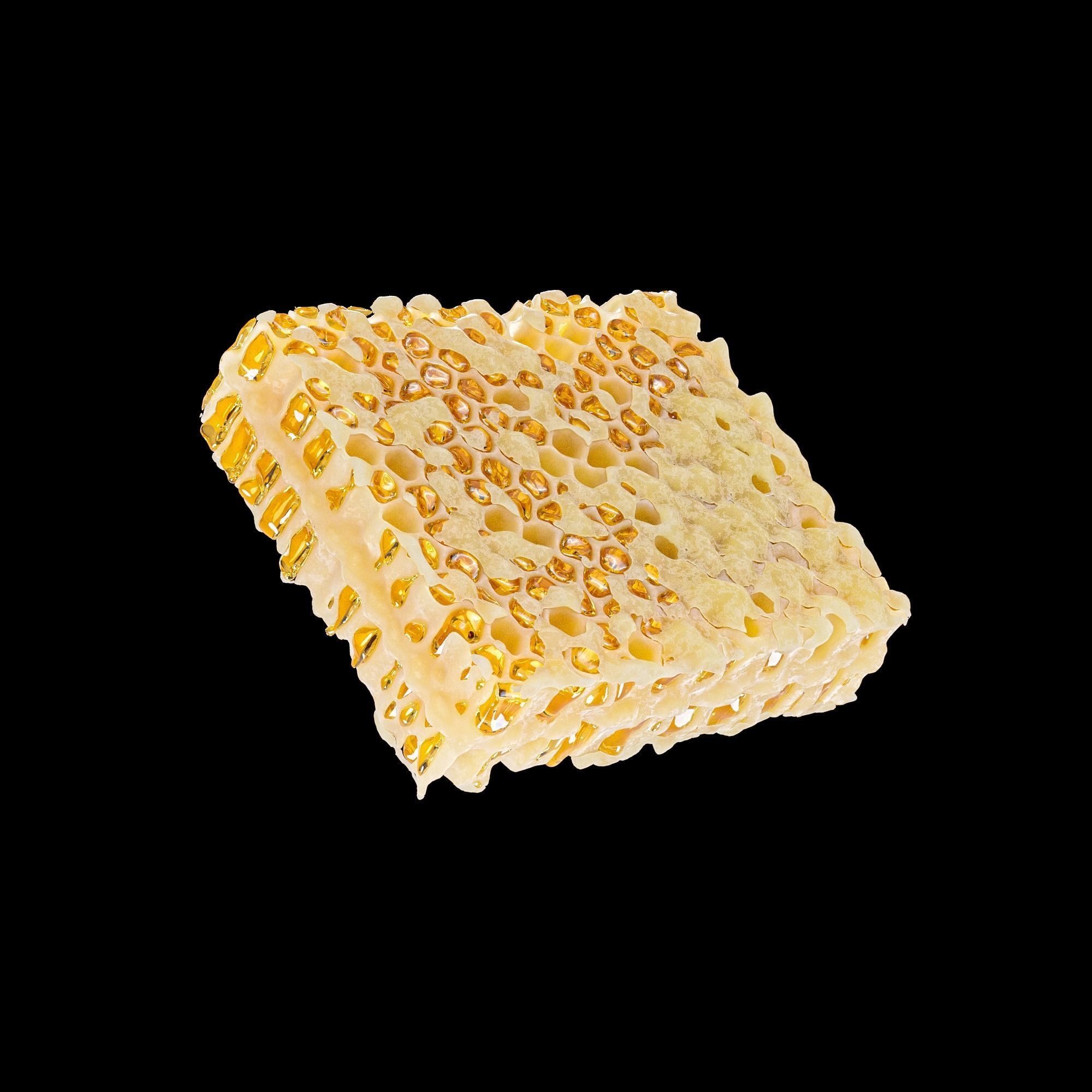 Honeycomb beeswax 3D model_1