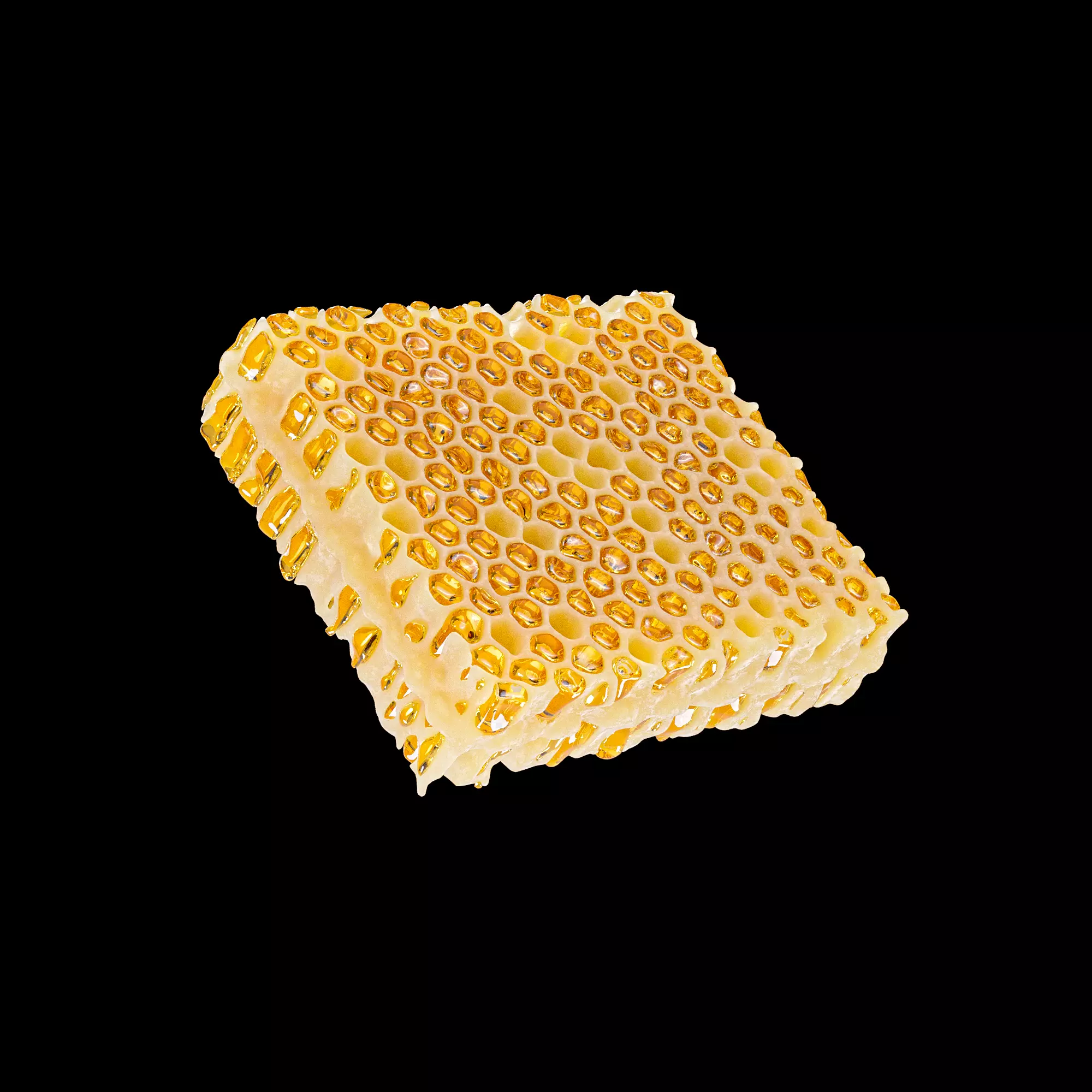 Honeycomb beeswax 3D model_0