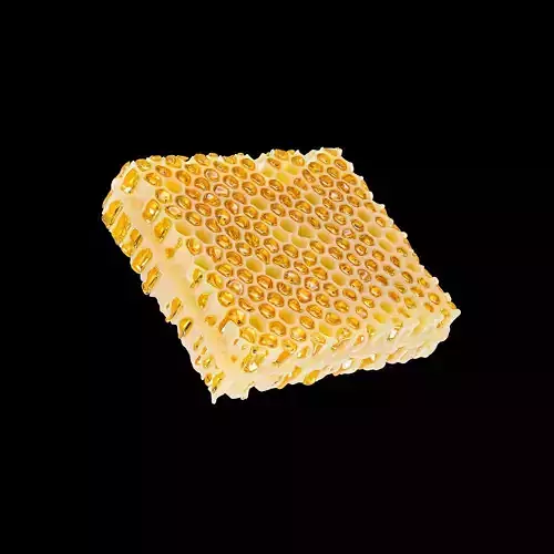Honeycomb beeswax 3D model
