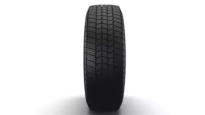 MICHELIN LTX MS2 Tire
