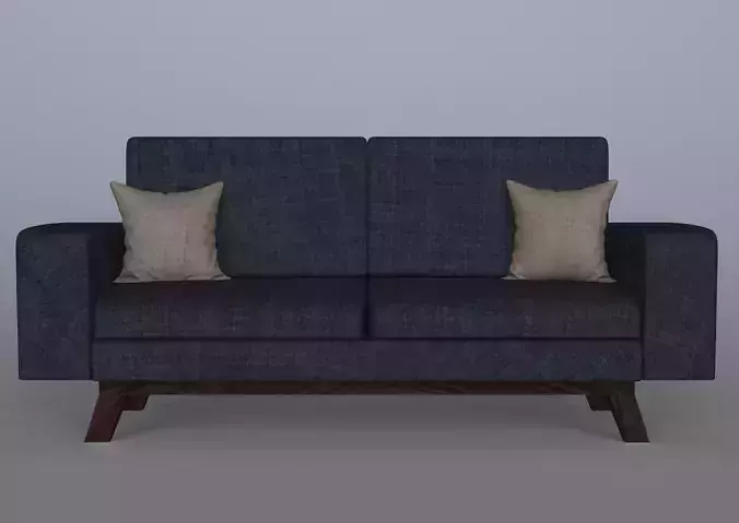 Modern sofa