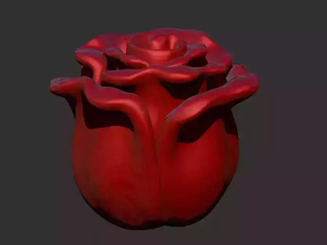 a rose