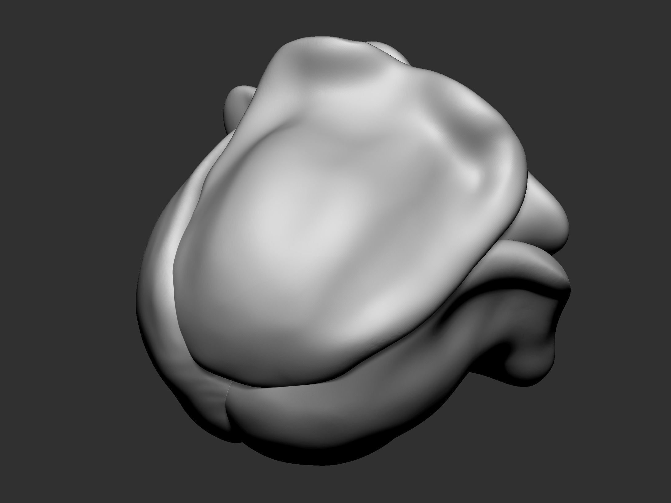 a rose 3D print model_8