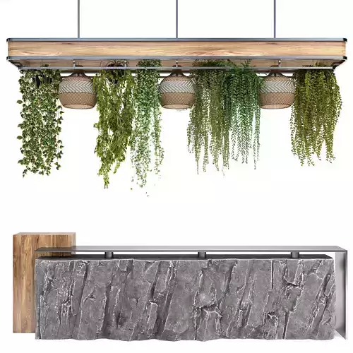Restaurant counter with hanging plants 3D model