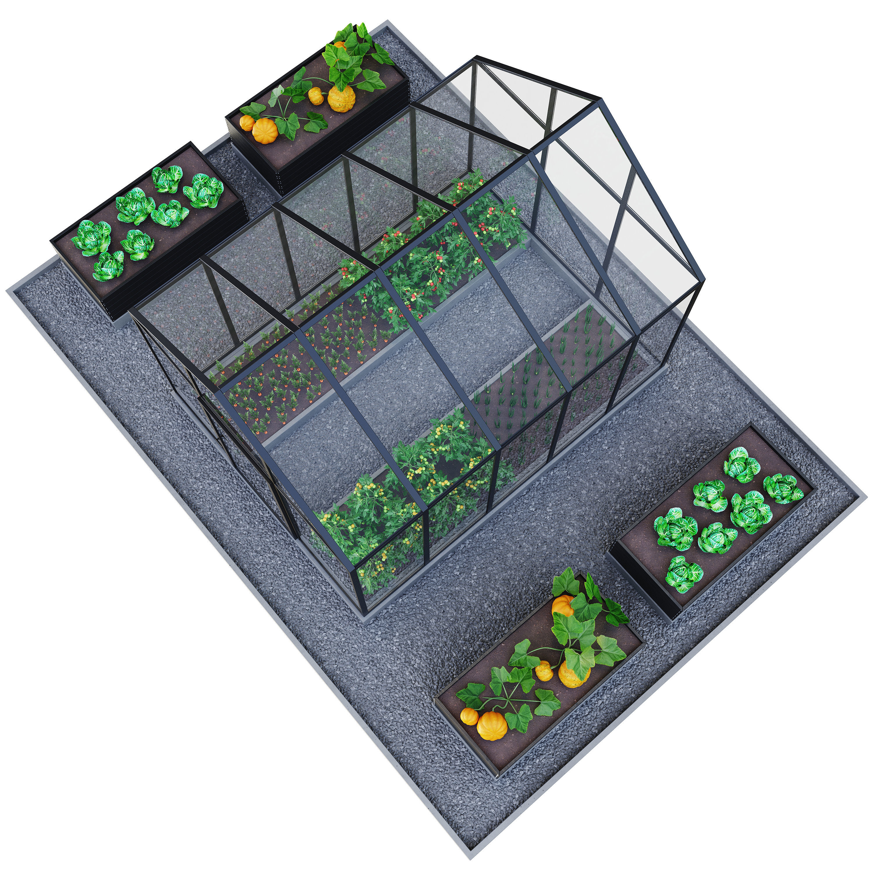 Greenhouse  Kitchen garden 3D model_3