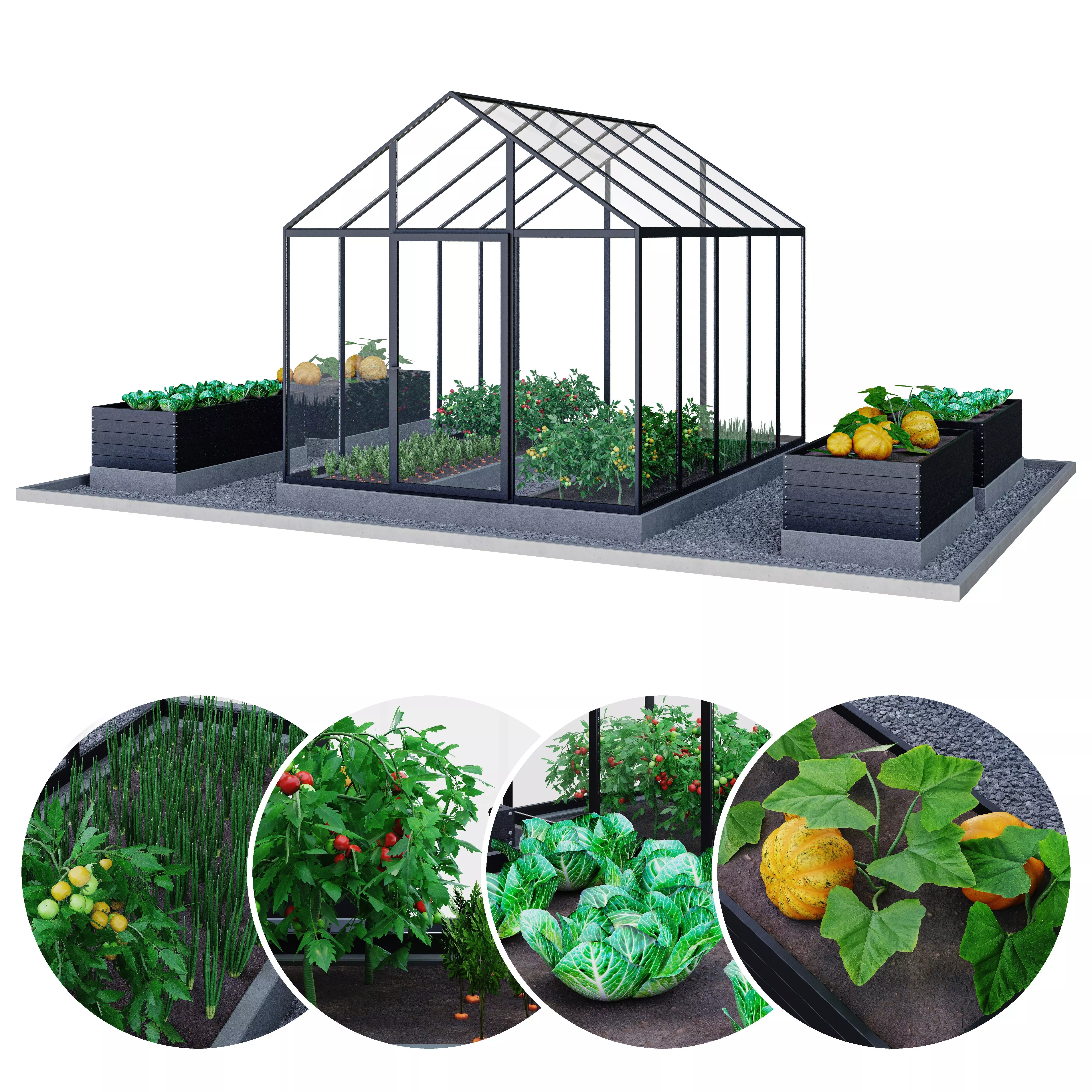 Greenhouse  Kitchen garden 3D model_0