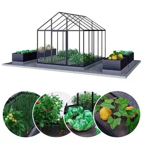 Greenhouse  Kitchen garden 3D model
