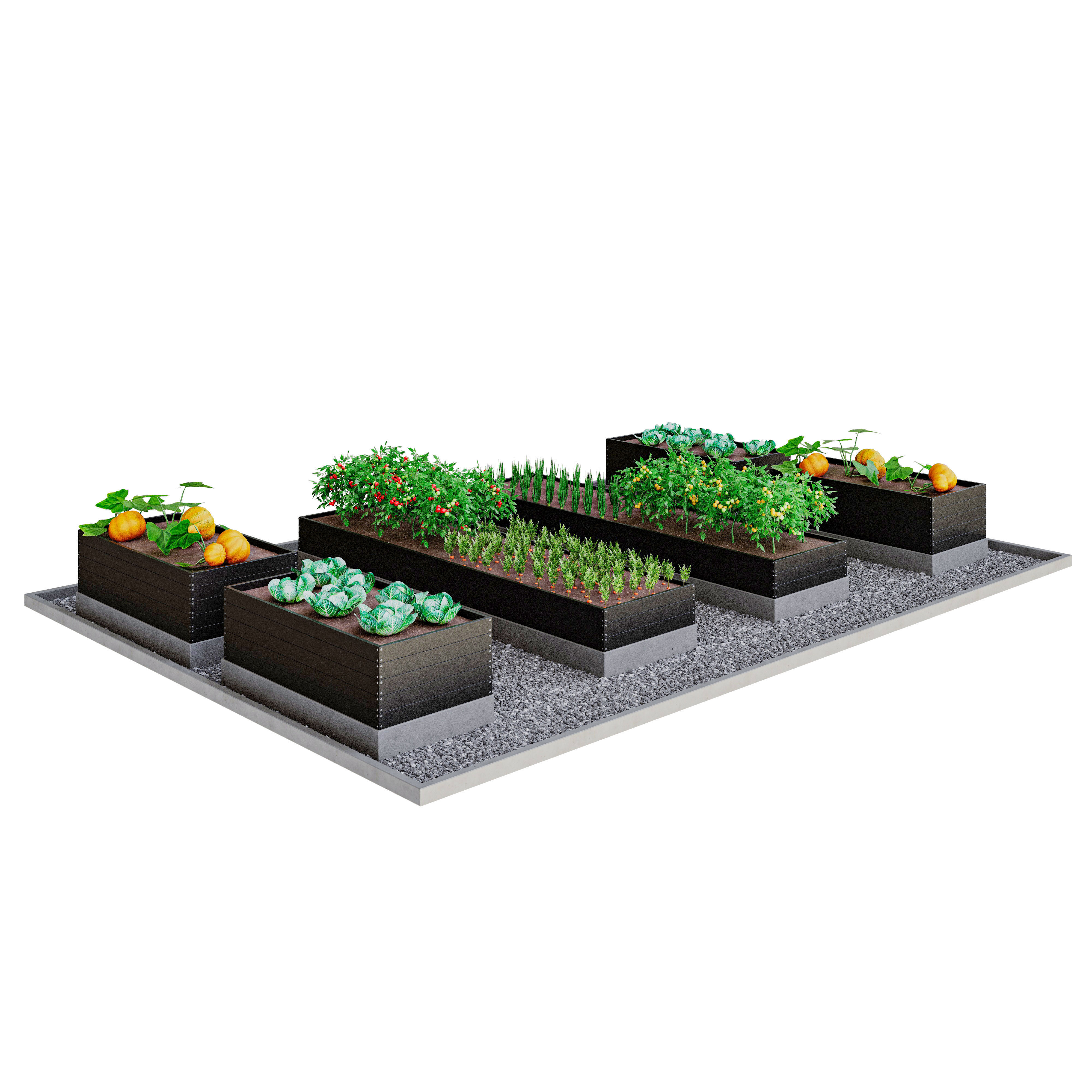 Kitchen garden 3D model_4