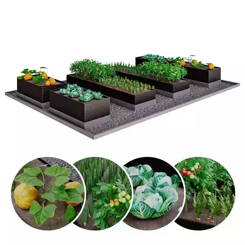 Kitchen garden 3D model