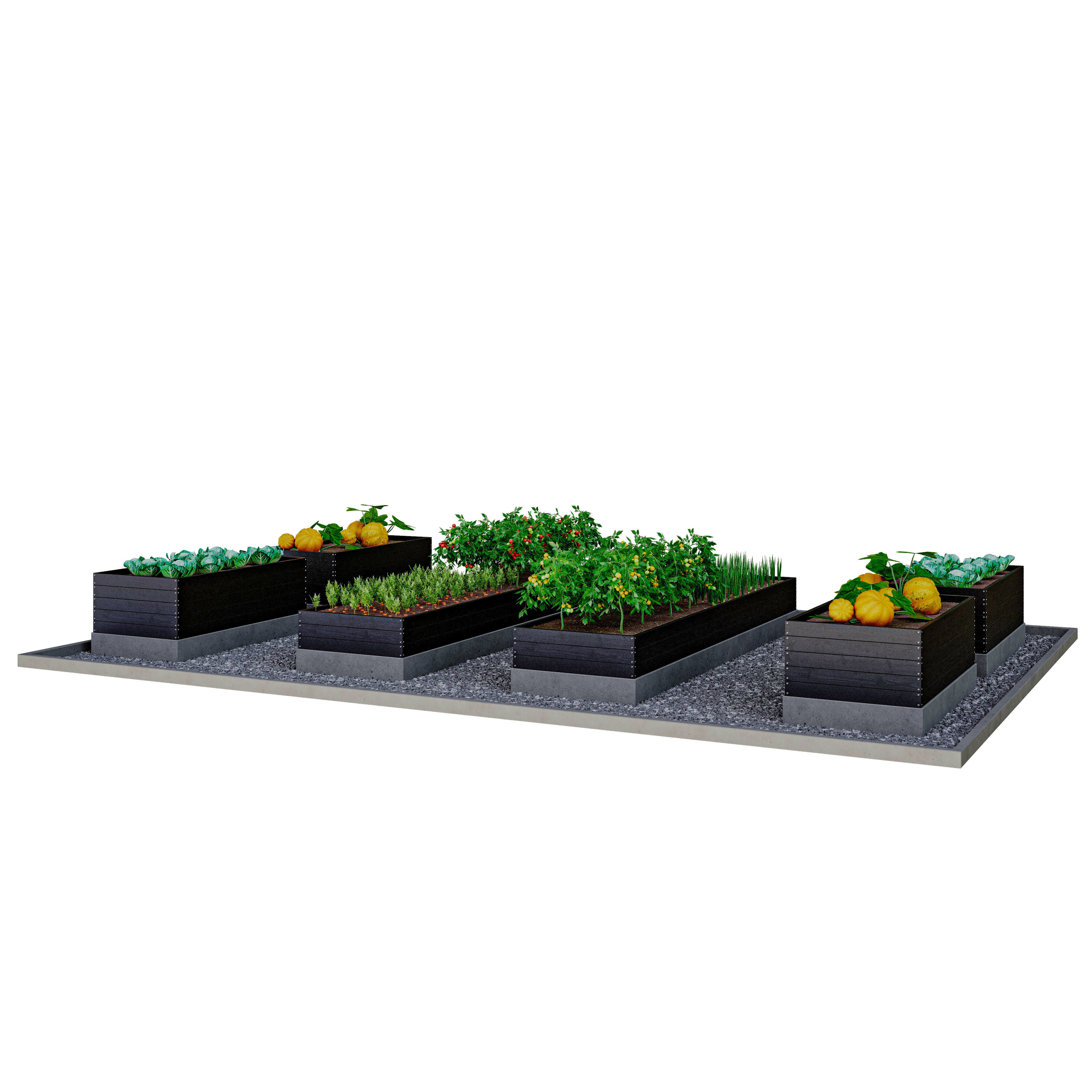 Kitchen garden 3D model_1