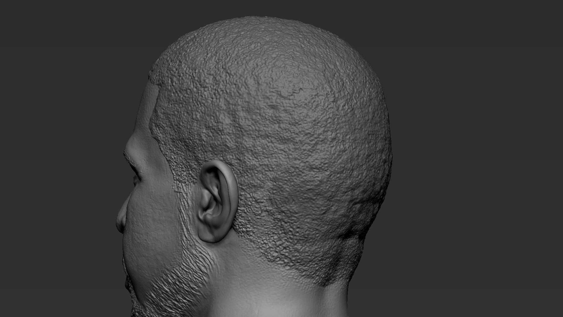 Drake man 3D print model_38