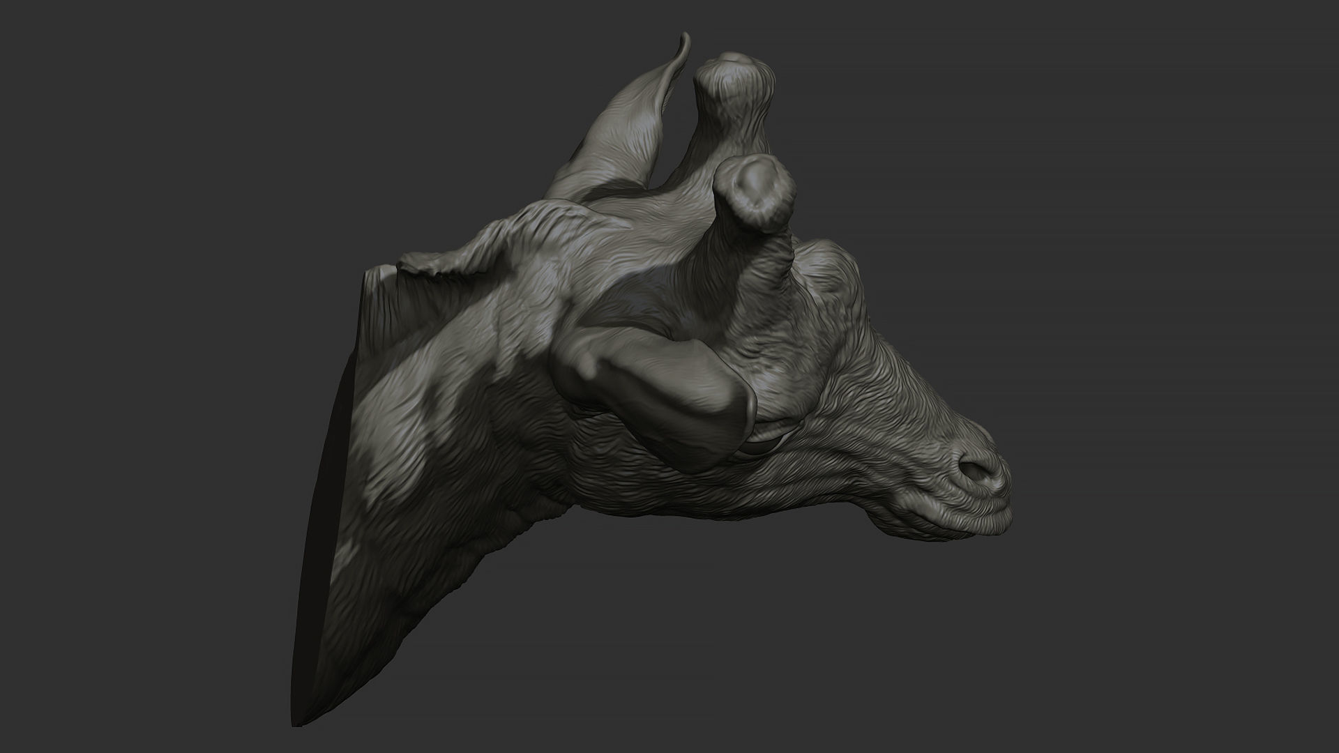 Giraffe head 3D print model_16