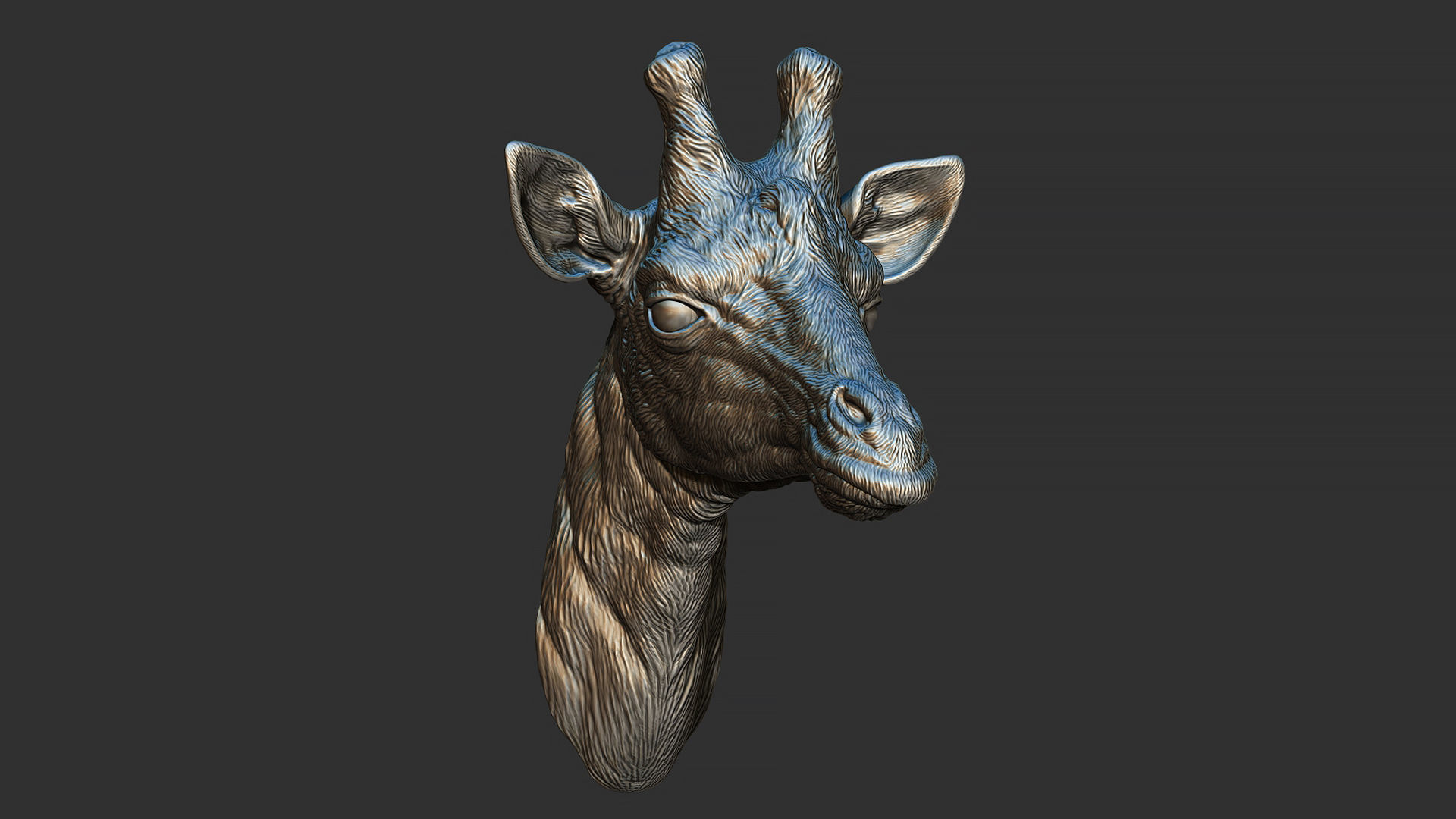 Giraffe head 3D print model_1
