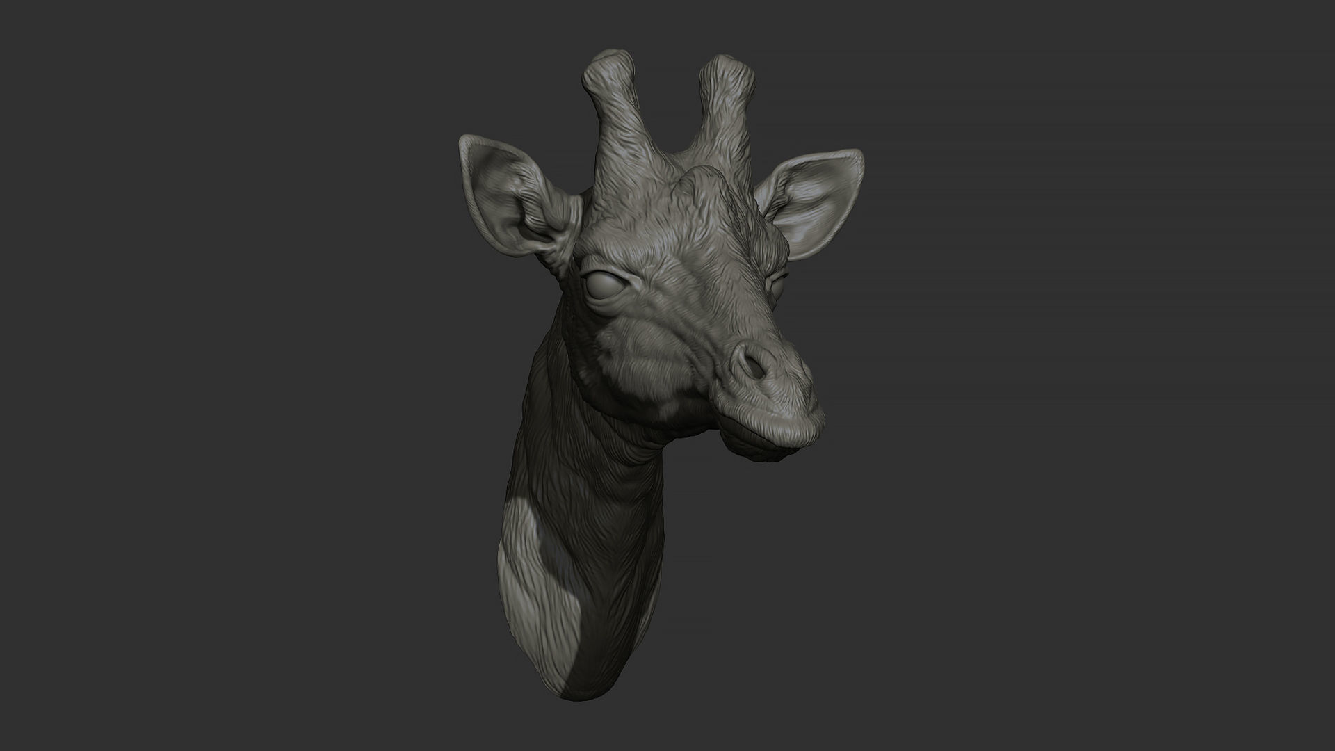 Giraffe head 3D print model_12