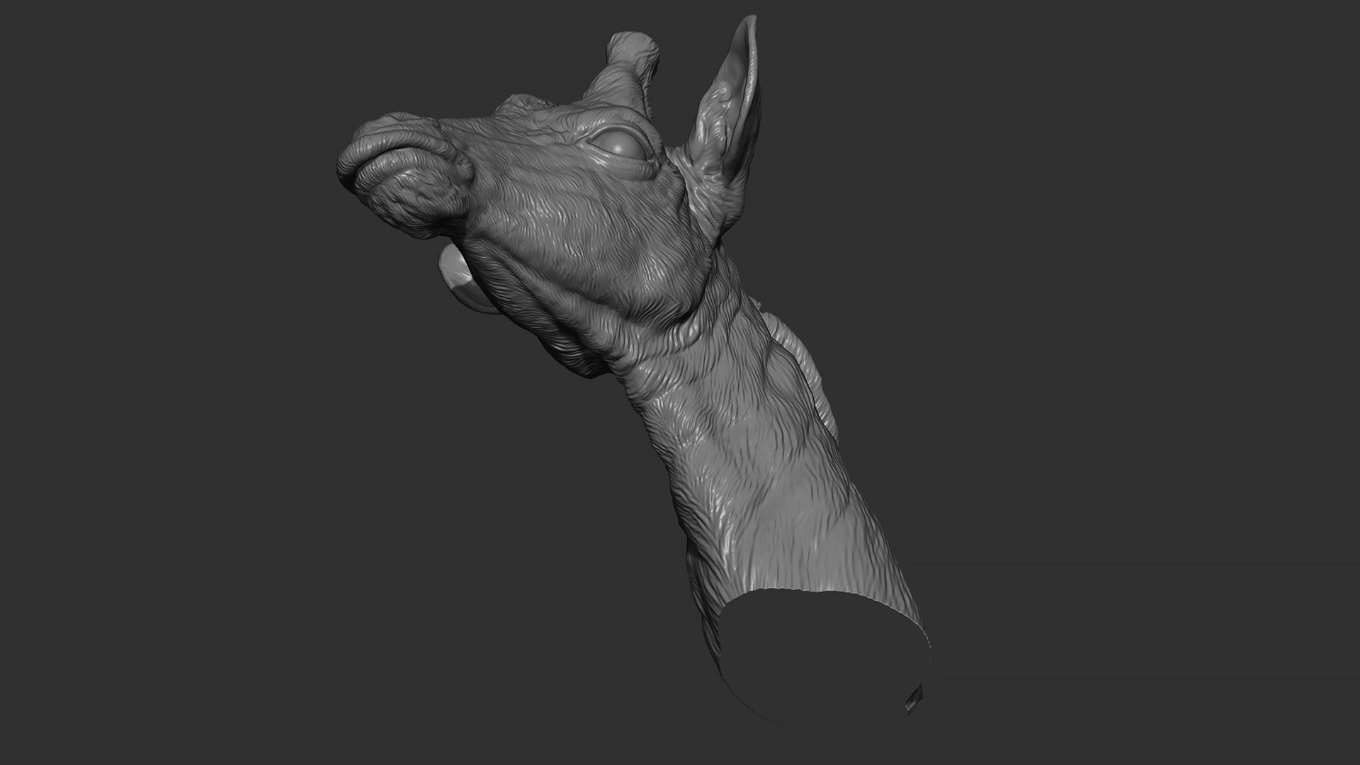 Giraffe head 3D print model_11