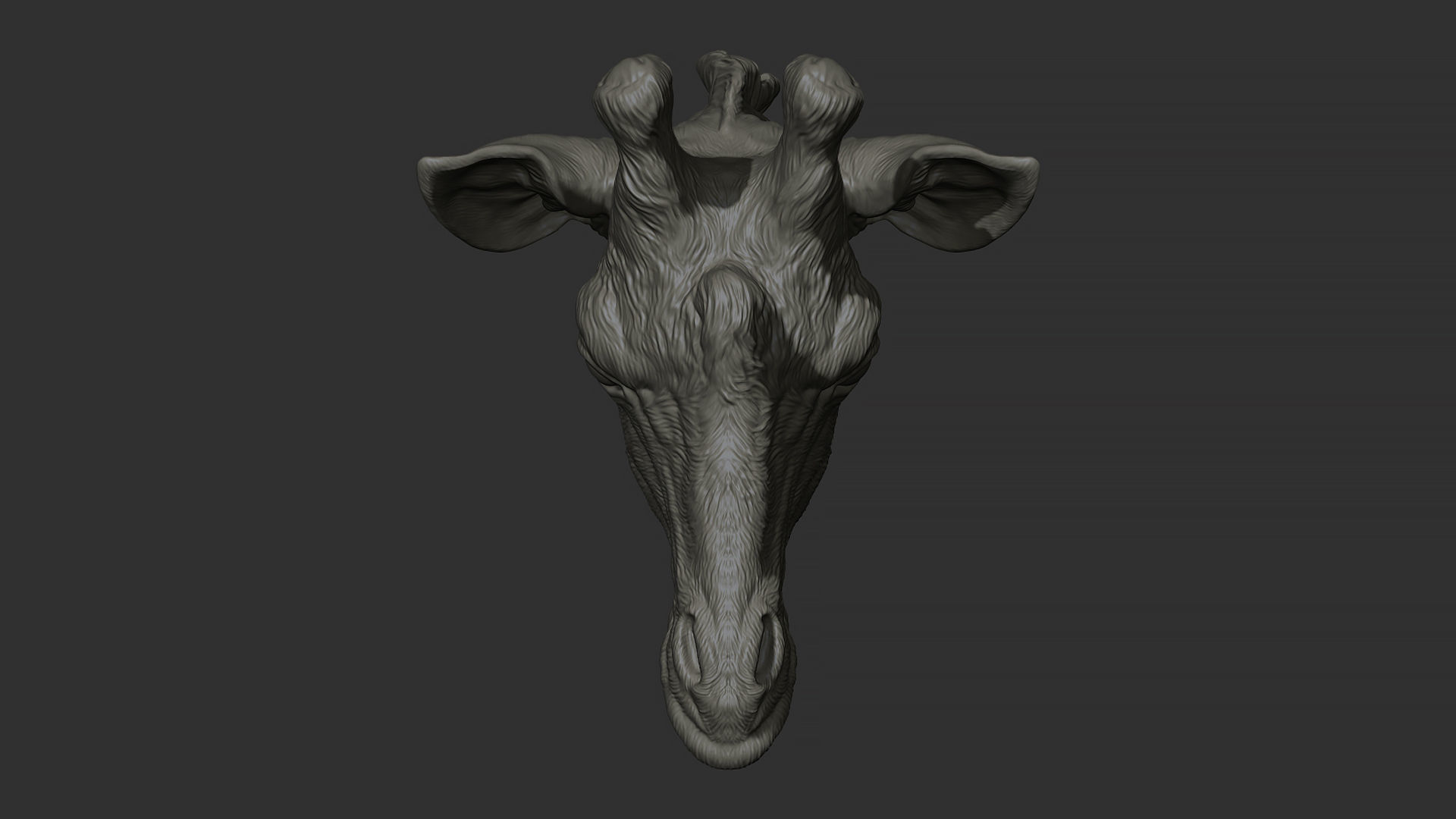 Giraffe head 3D print model_15