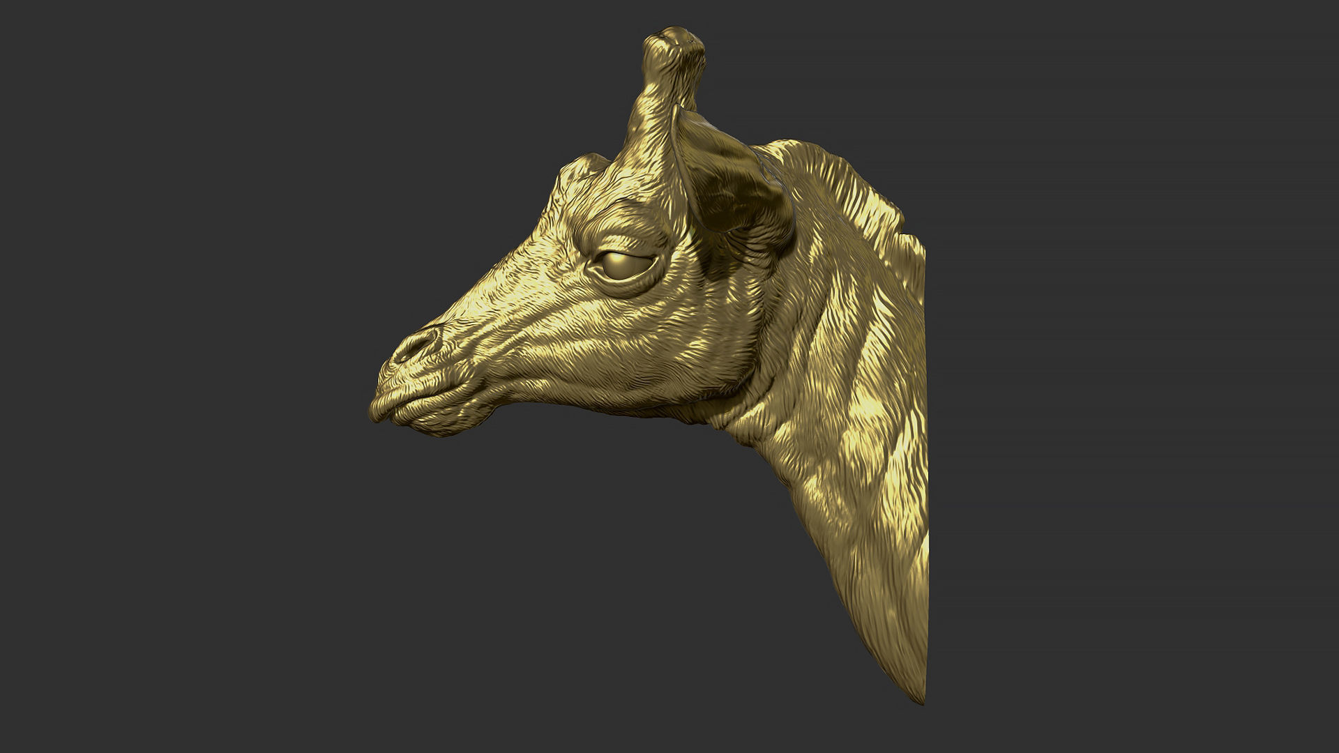 Giraffe head 3D print model_2