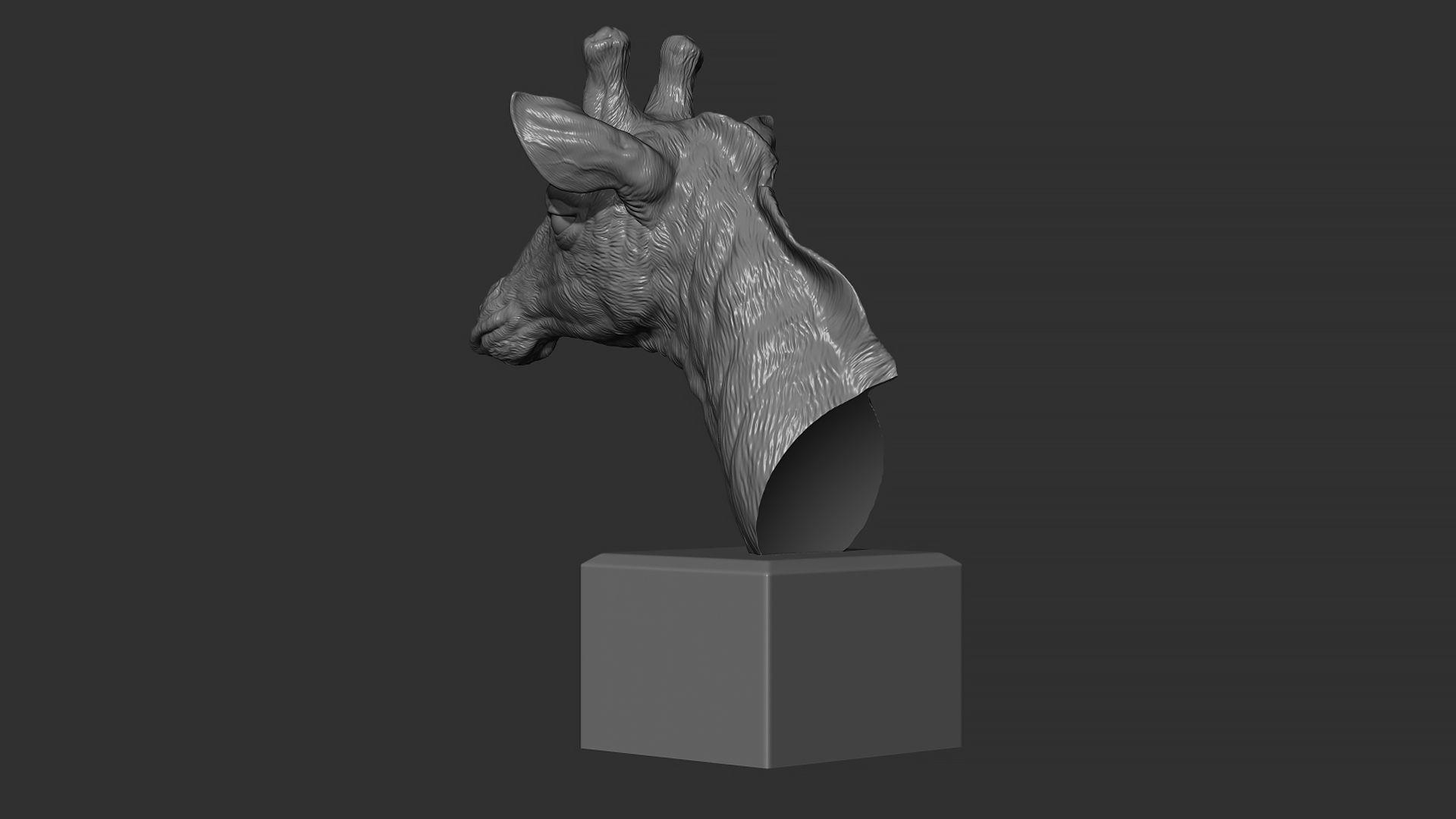 Giraffe head 3D print model_9