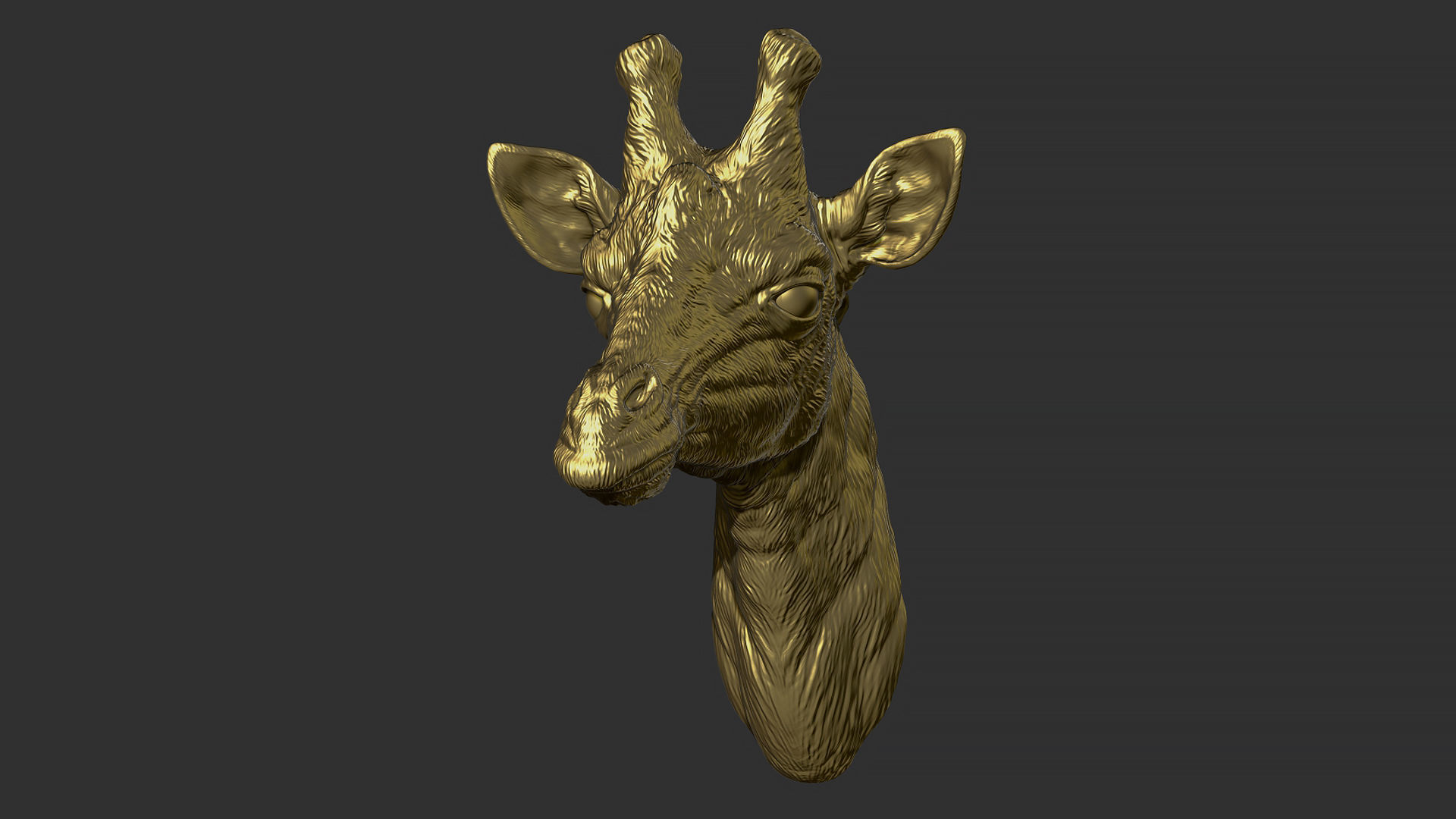 Giraffe head 3D print model_3