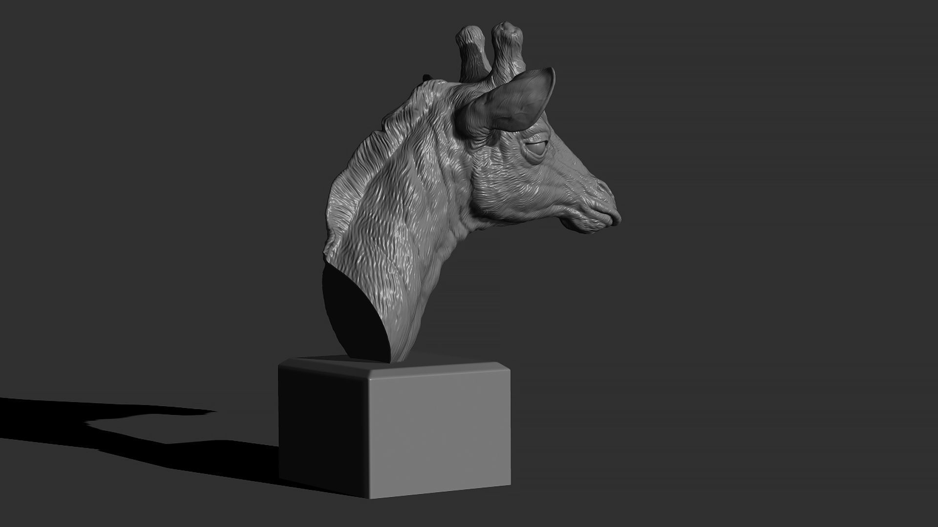 Giraffe head 3D print model_6