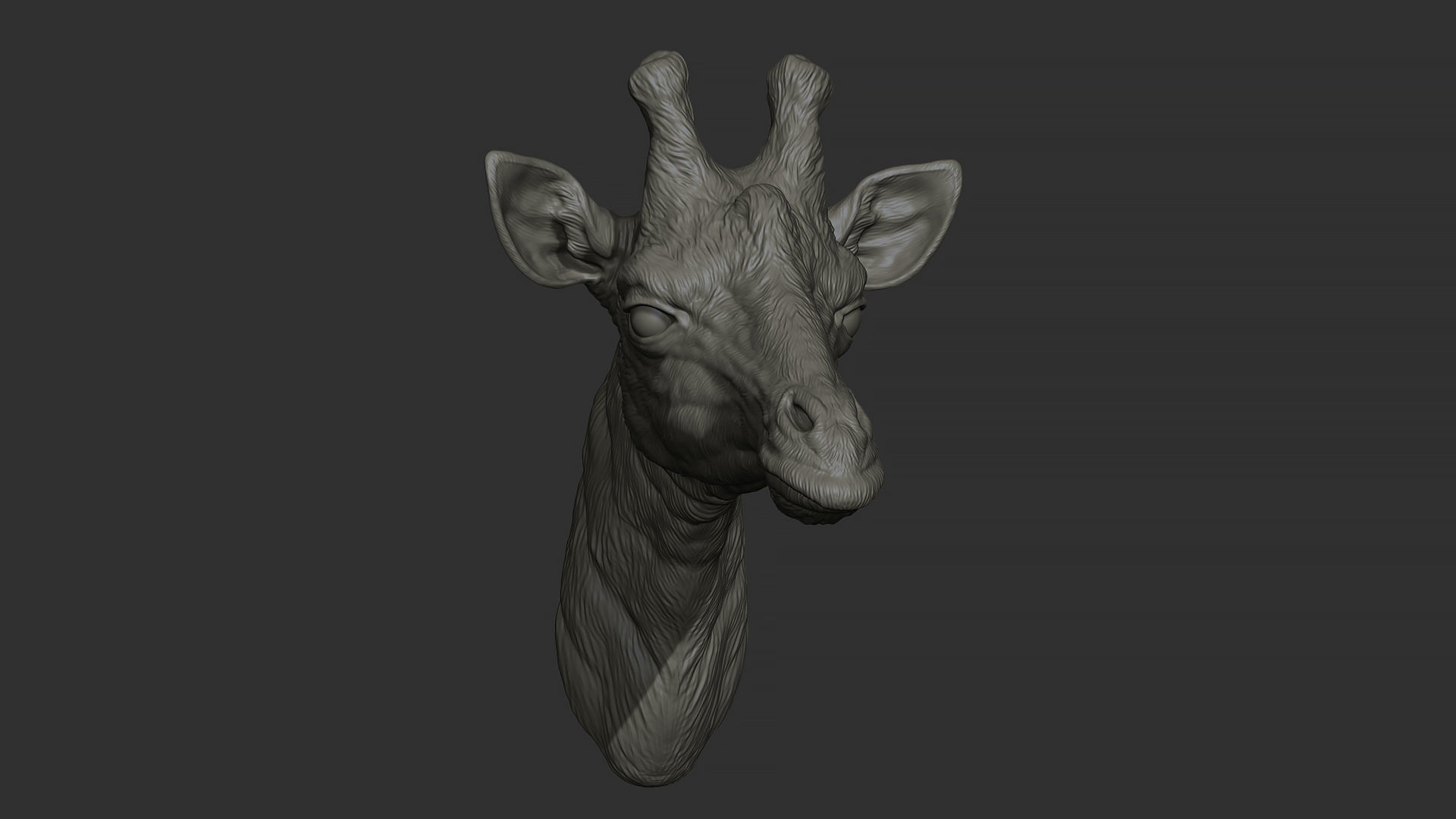 Giraffe head 3D print model_20