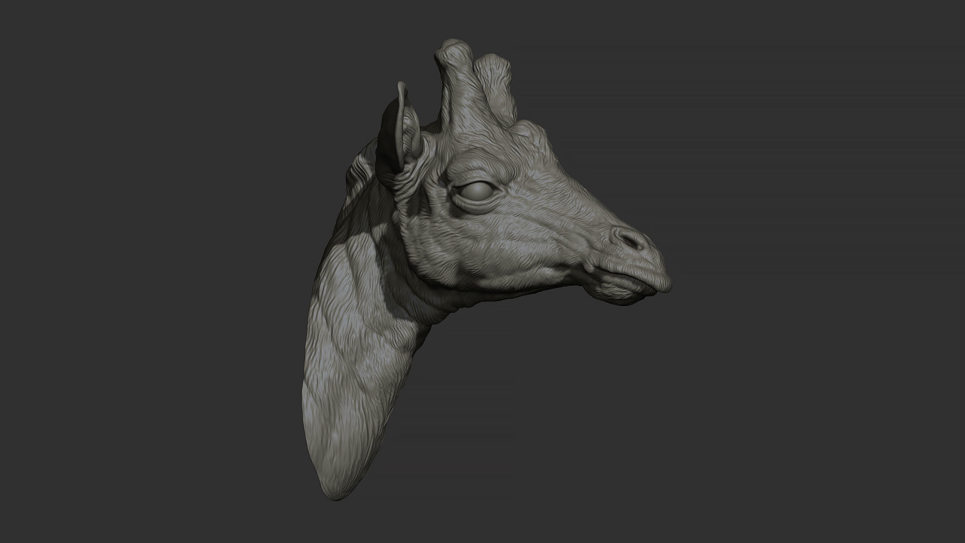Giraffe head 3D print model_18
