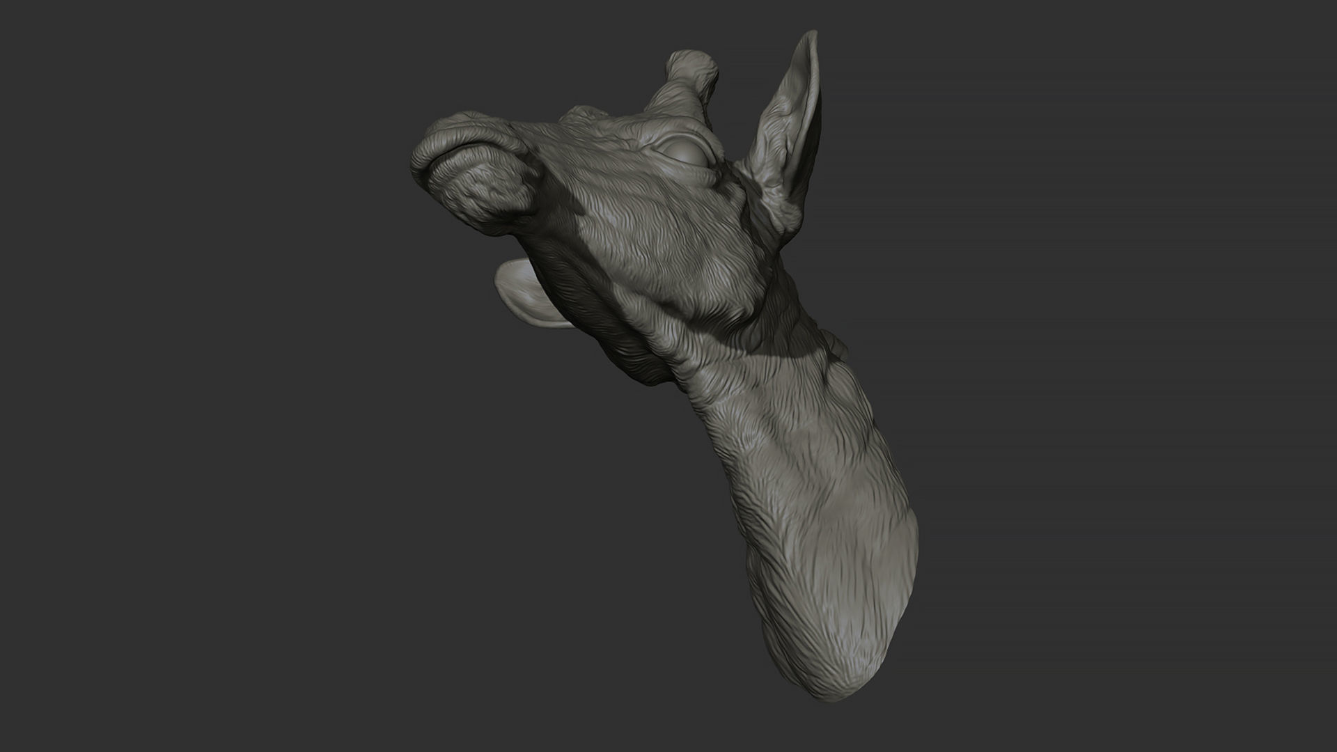 Giraffe head 3D print model_14